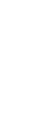 Leaf Png